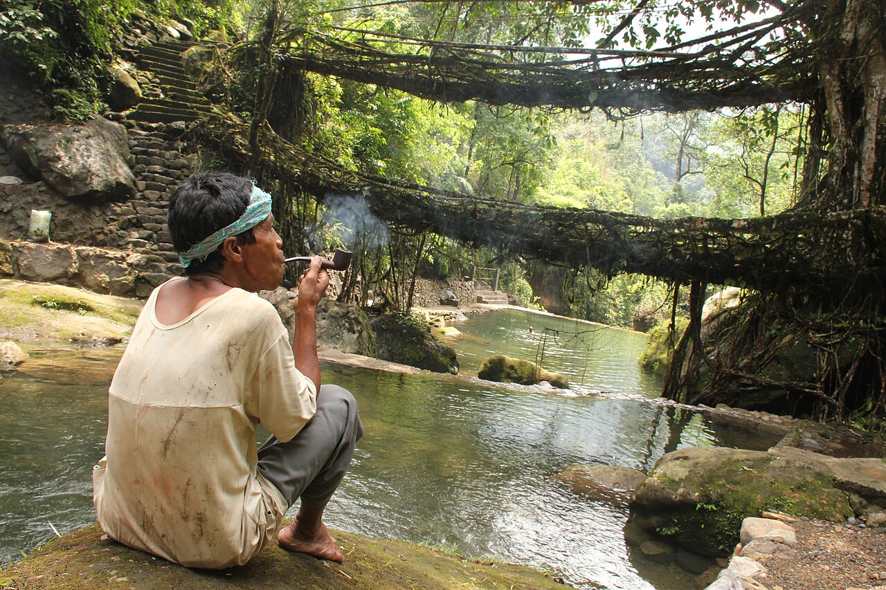 Living Root Bridges: Nature's Engineering Marvel in Meghalaya