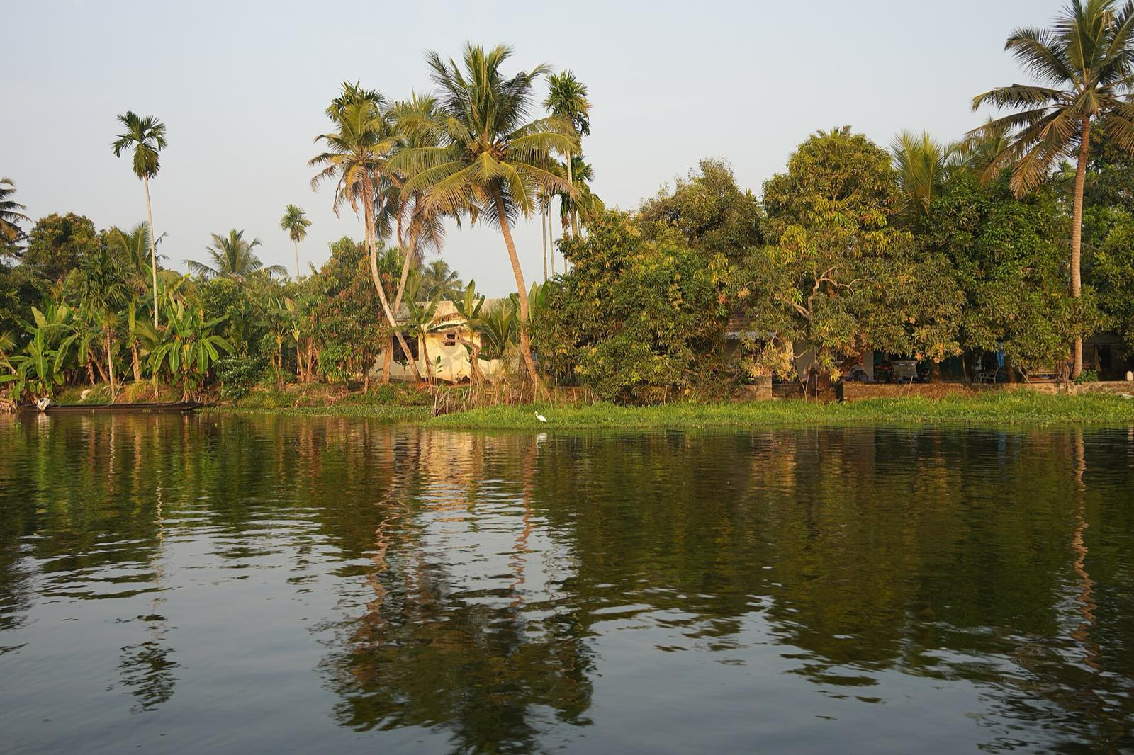 Backwaters near Alappuzha, Kerala