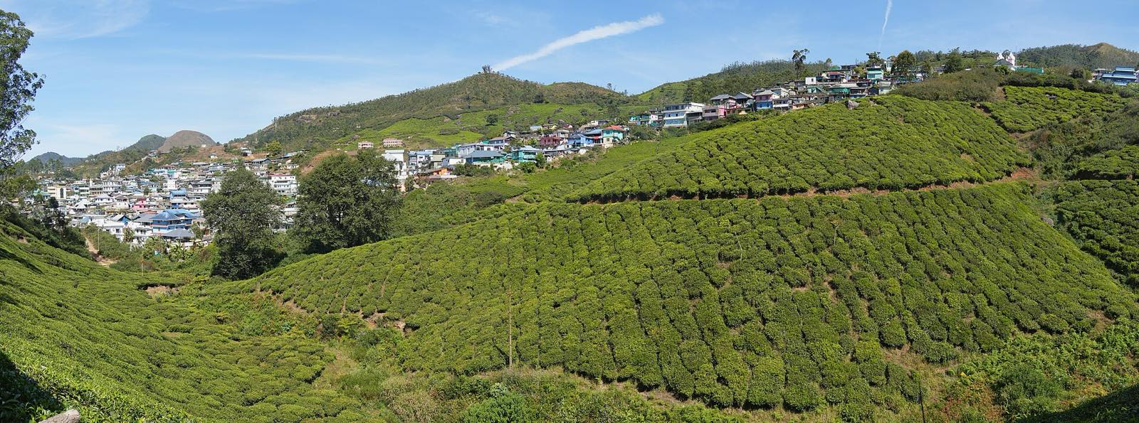 Munnar Tea Hills