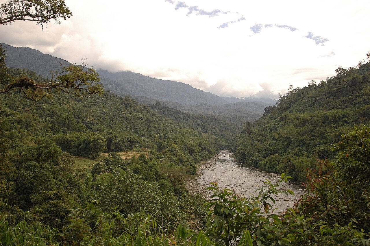 Namdapha Forest