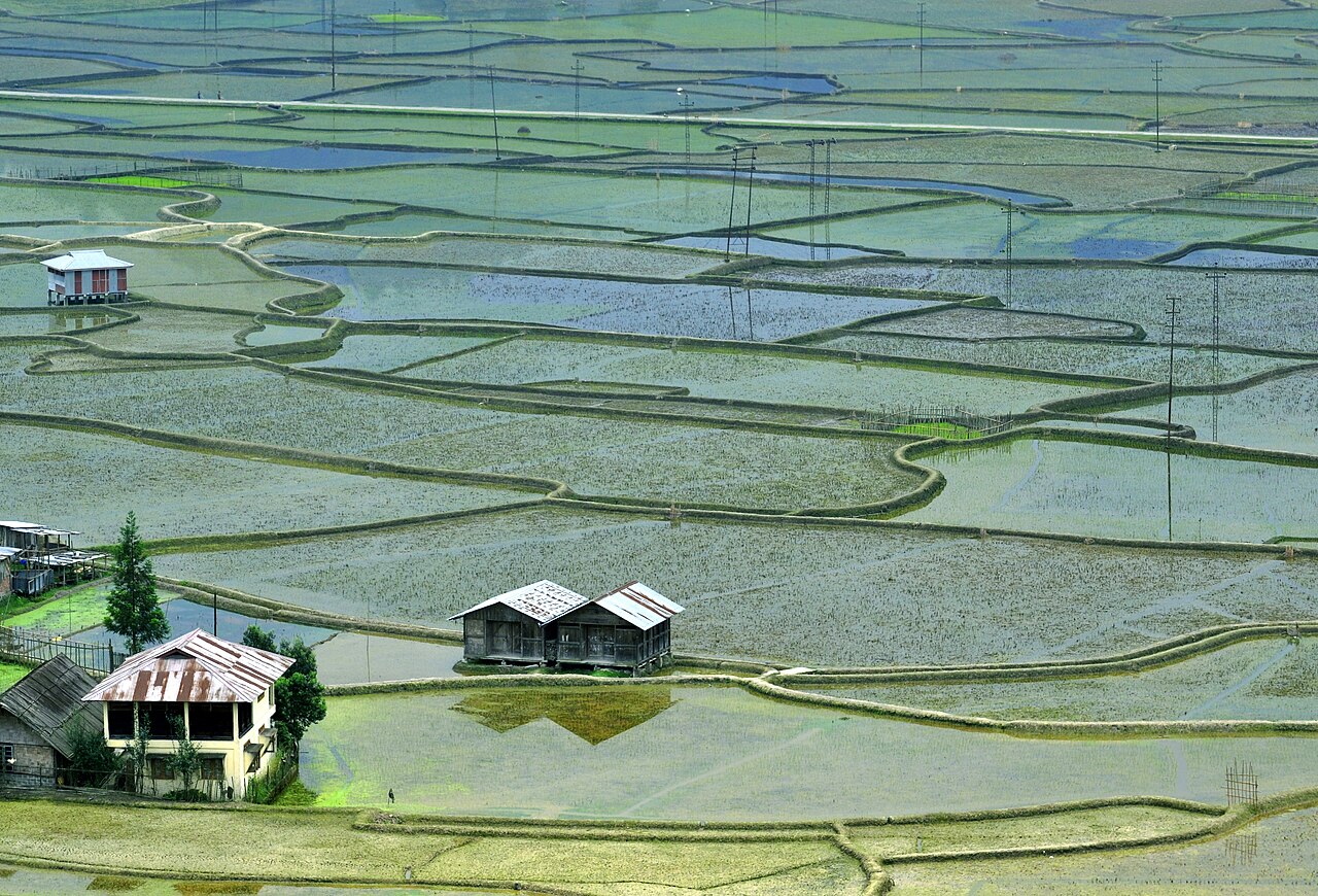 Ziro Valley + Namdapha (5 Days)